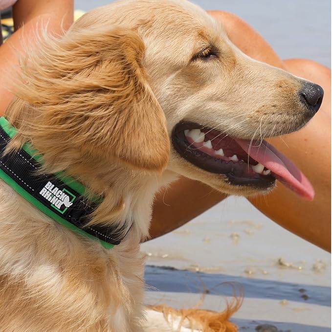 Black Rhino Dog Collar for Large Dogs - Adjustable Reflective Heavy Duty Dog Collars with Ultra-Soft Neoprene Padding - Weatherproof, Durable, and Comfortable for Active Dogs - Green and Black