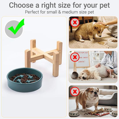 Ceramic Slow Feeder/Dog Bowl for Small Medium Dogs,Elevated/Raised Slow Feeding Dog Food Water Dish Heavy Weighted,Puzzle Eating Bowl Moder （Stars Mark-Forest Green, 8.26in）