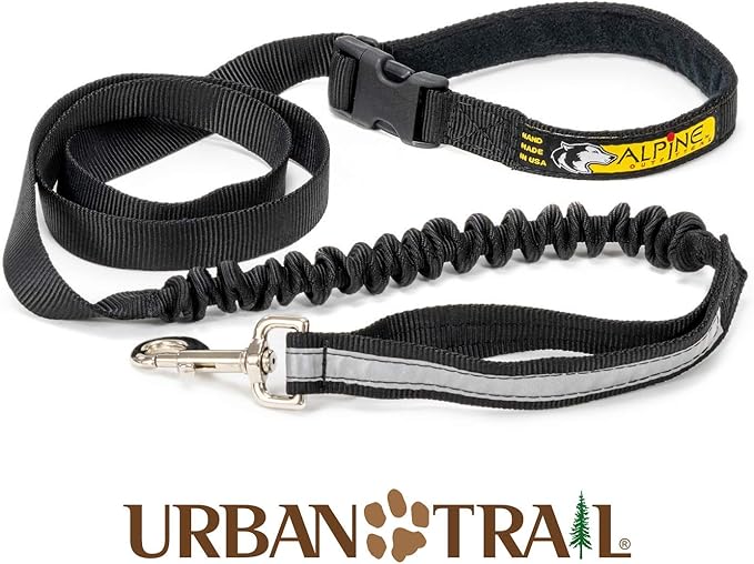 Alpine Outfitters Urban Trail Double Duty Leash with Padded Handle, Traffic Handle and 3M Scotchlite Reflective Bands - Go Hand-Held or Hands-Free!
