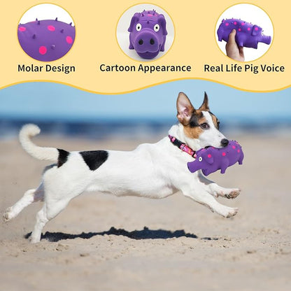 Andiker Dog Squeaky Toy, Dots Latex Dog Chew Toys with a Oinks Sound Squeaker Grunting Pig Dog Toy Durable Self Play 8" Dogs Squeeze Toy for Dental Biting Chasing to Kill Boring Time (Purple)