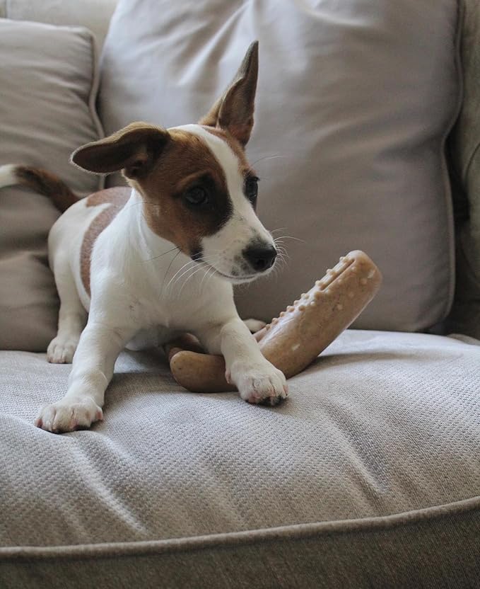 Tall Tails Bacon Scented Antler Chew Toy for Dogs, Small