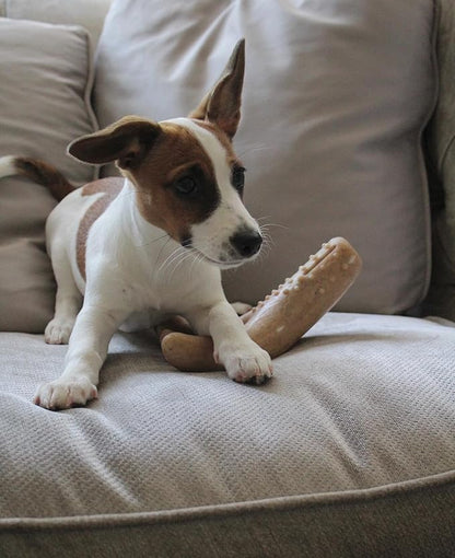 Tall Tails Bacon Scented Antler Chew Toy for Dogs, Small