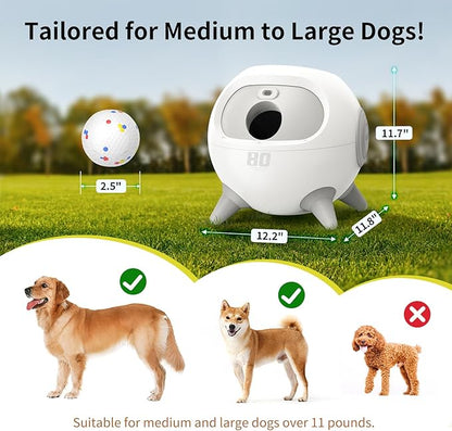 uahpet 2.5inch iRetriever Balls 4Pack for iRetriever Dog Ball Launcher, Tear-Resistant ETPU Dog Chew Toy