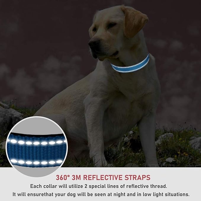 Reflective Dog Collar with Buckle Adjustable Safety Nylon Collars for Small Medium Large Dogs, Blue S