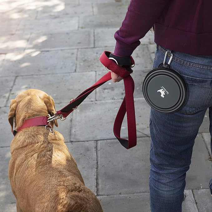 Collapsible Dog Bowls for Travel, 2-Pack Dog Portable Water Bowl for Dogs Cats Pet Foldable Feeding Watering Dish for Traveling Camping with Carabiners, BPA Free (Grey&Pink, Medium (Pack of 2))