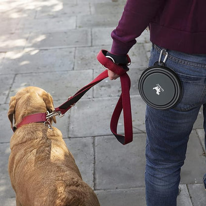 Collapsible Dog Bowls for Travel, 2-Pack Dog Portable Water Bowl for Dogs Cats Pet Foldable Feeding Watering Dish for Traveling Camping with Carabiners, BPA Free (Grey&Pink, Medium (Pack of 2))