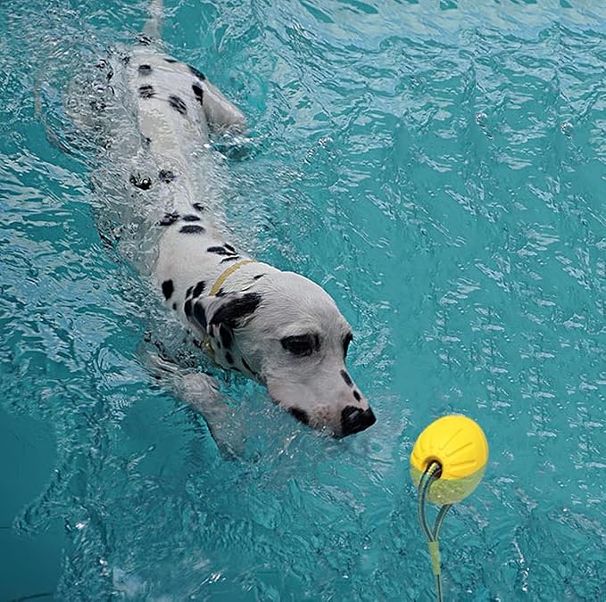 2 Pack Ball with Rope Dog Toy,Fling Dura Foam Toy,Dog Water Float Ball Rraining Boall on Rope (2 Pieces 9cm/3.5")