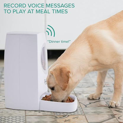 Arf Pets Automatic Pet Feeder Food Dispenser for Dogs, Cats & Small Animals – Features Voice Recorder, Portion Control & Voice Recording – Timer Programmable Up to 4 Meals a Day