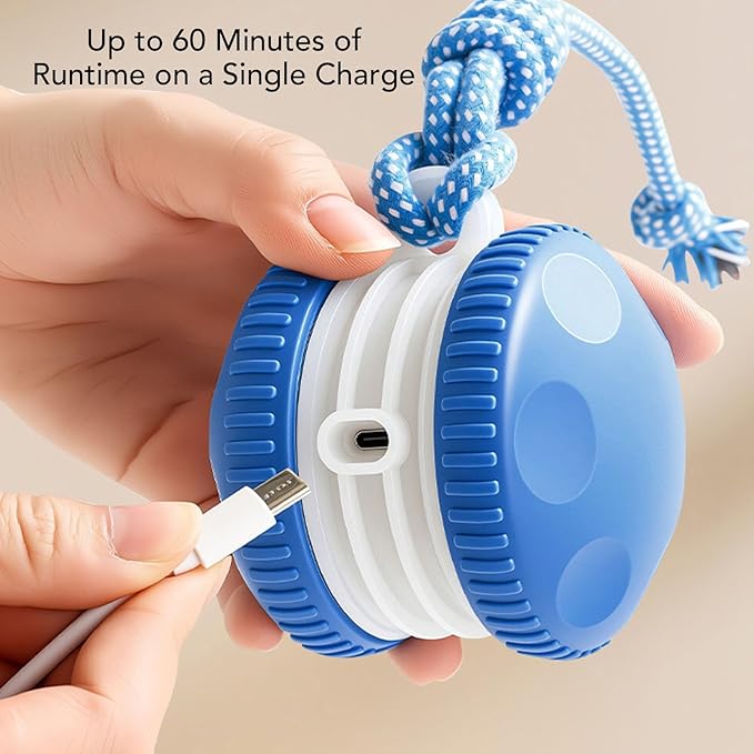 Interactive Dog Toy, Random Electric Automatic Moving and Rolling Ball with Rope, for Small Medium Large Dogs
