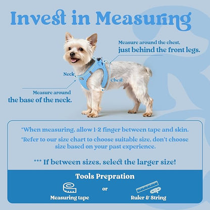 rabbitgoo Small Dog Harness, Step-in Soft Mesh Puppy Vest with Safety Buckle, Breathable Reflective Pet Harness for Small Medium Dogs, Blue XL