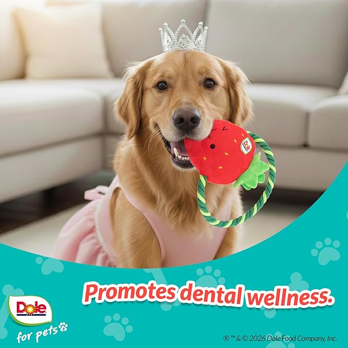 Dole for Pets® Dog Rope Toy with Squeakers, Strawberry Tug of War Dog Toy, Tough Cotton Rope Toys for Dogs, Aggressive Chew Toys for Medium Dogs