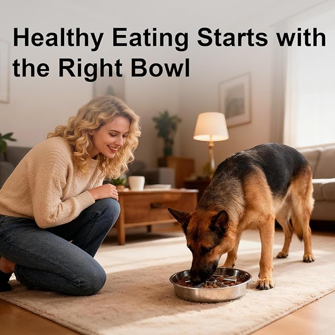 Kactoily 304 Stainless Steel Slow Feeder Dog Bowl, 2.5 Cups Non-Slip Pet Bowl, Raised Design for Slow Eating & Digestive Health - Perfect for Medium Large Dogs