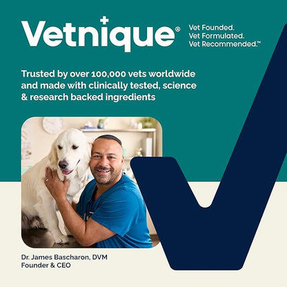 Vetnique DermaBliss Pet Wipes for Dogs & Cats for Grooming, Cleansing & Deodorizing, Thick Dog Wipes for Convenient Dog Cleaning and Natural Pet Odor Eliminator, 100ct (Refreshing Scent)