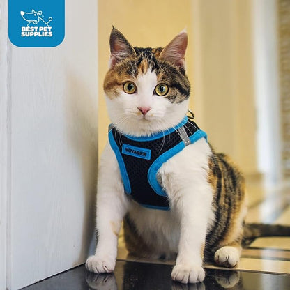 Best Pet Supplies Voyager Step-in Air Harness - All Weather Mesh, Reflective, No Pull Harness for Dogs, Cats - Secure with Hook & Loop Fastener, Buckle, Double D-Rings - Blue, XXXS