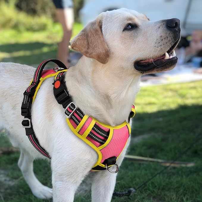 rabbitgoo Dog Harness for Large Dogs, No Pull Pet Vest with 3 Buckles, Adjustable Soft Padded Pet Harness with Easy Control Handle and Reflective Strips, Pink & Yellow, L