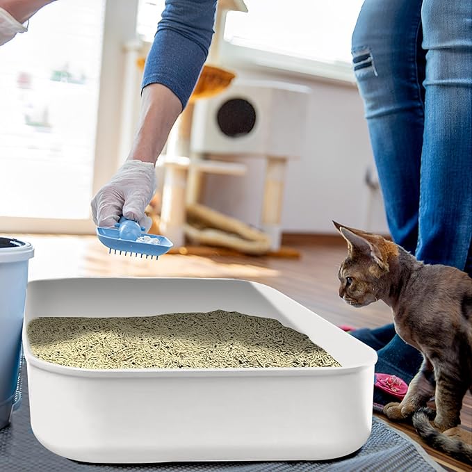 Small Litter Box, Plastic Kitten Litter Box, 13.9 x 9.8 x 3 Inch Open Litter Box for Small Pet, Easy to Clean (White 4PCS)