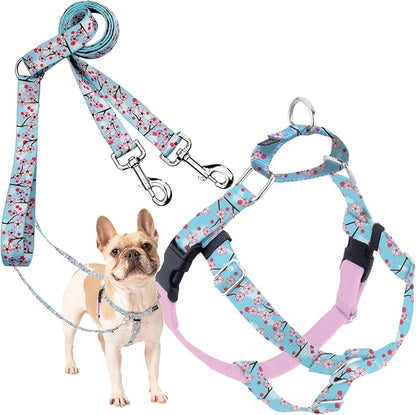 2 Hounds Design - Freedom No-Pull Harness & Training Leash in Pink and Blue | Dual Leash Loops, No Pulling on Walks | Lined to Prevent Chaffing | for Small Sized Dogs (Size S, Chest 20”- 24”)