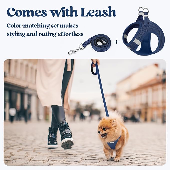 rabbitgoo Dog Harness Small Sized and Leash Set, Step in Soft Light Puppy Vest, Breathable Mesh Pet Harness, Reflective for Outdoor Safe Walking, Navy Blue XXL