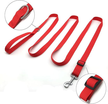 TAIAN Adjustable Nylon Dog Leash, 6FT/10 FT Long Dog Leashes for Small Medium Large Dogs (1 in x 10 ft, Red)