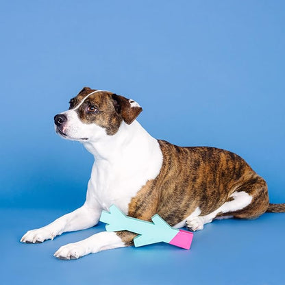 Fringe Studio Stick with ME Turquoise/HOT Pink Rubber Dog Toy, Pet Shop Collection (518035)
