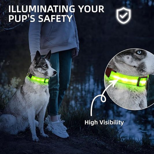 Super Bright LED Dog Collar - Fully Waterproof & Adjustable Glow Collar - USB-C Rechargeable for Night Walking, Safety - Flashing Lighted Collar for Dogs(Green,L/XL)