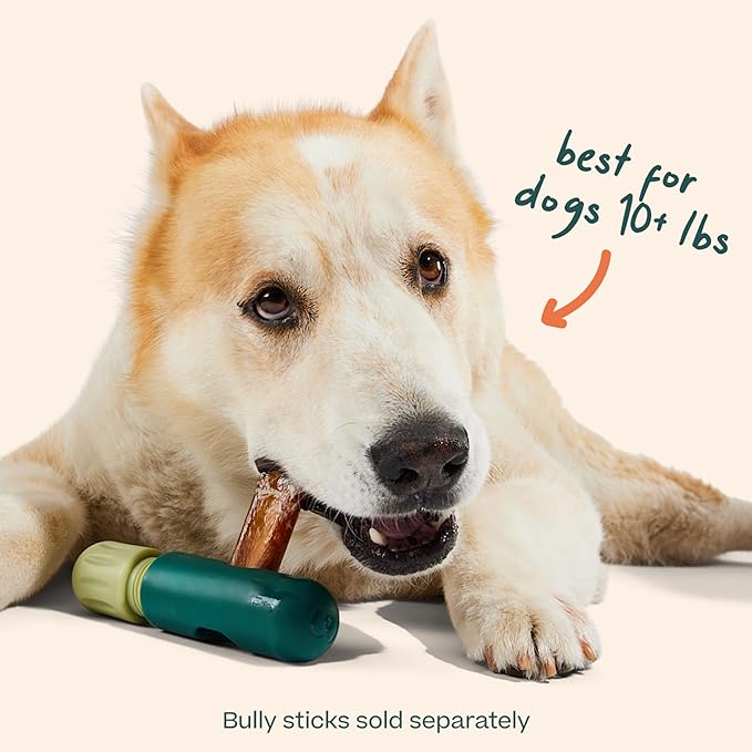 WOOF BullySafe - Bully Stick Holder - Durable Dog Chew Holder for Safe, Long-Lasting Play - Easy to Clean - No More Swallowed Ends - for Dogs 10+ lbs