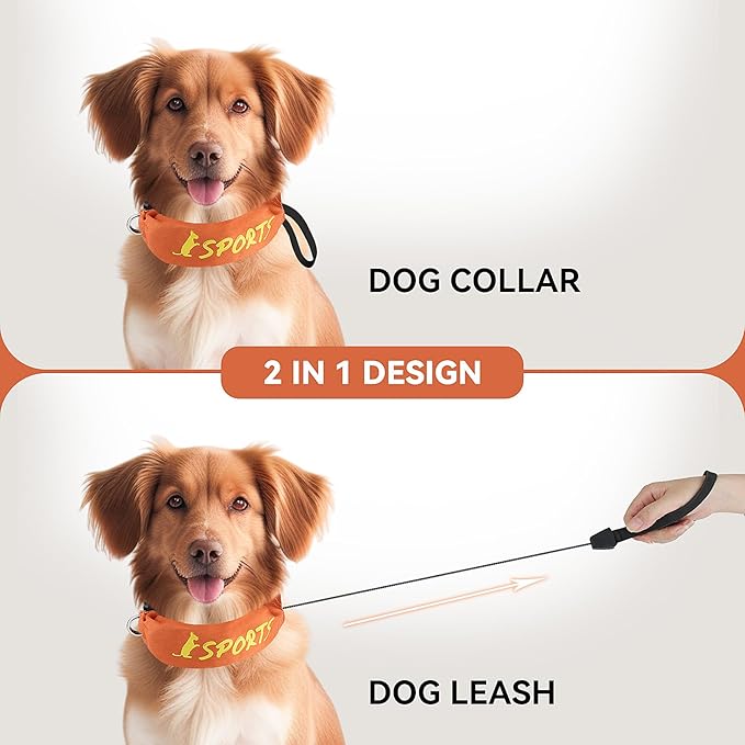 NAMSAN Retractable Dog Leash Collar for Medium to Large Dogs, Dog Collar with Retractable Leash Built-in, All-in-One, Adjustable, Orange