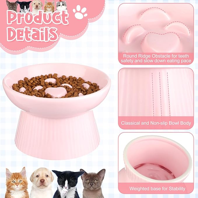 Tioncy 2 Pcs Raised Cat Slow Feeder Bowl Ceramic Elevated Cat Dog Food Bowl No Spill High Edge for Dry Wet Food and Water Easy to Clean, Dishwasher Safe (Black,Pink)