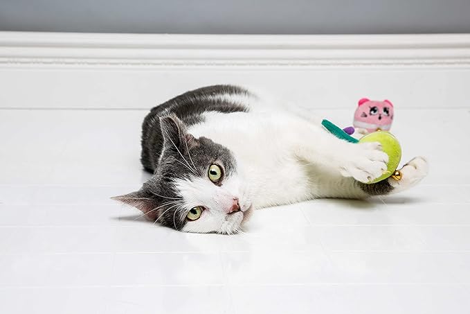Cattraction with Silver Vine & Catnip Macaron Mice - 2 Pack,All Breed Sizes