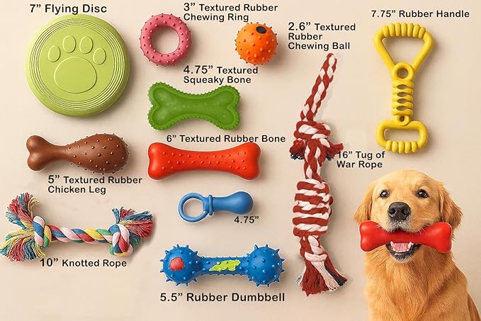 Jalousie Chew Toy Natural Rubber chew Toy for Interactive Play Toy Ball Rope Rubber Value Set for Small to Medium Breed Dog mutt Puppy