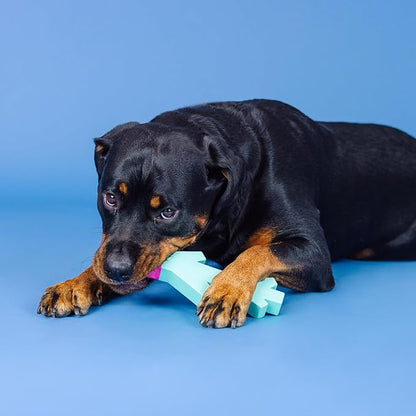 Fringe Studio Stick with ME Turquoise/HOT Pink Rubber Dog Toy, Pet Shop Collection (518035)