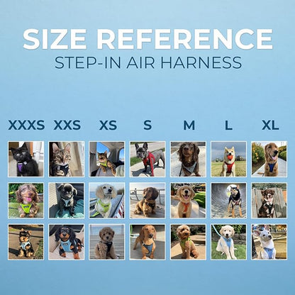 Best Pet Supplies Voyager Step-in Air Harness - All Weather Mesh, Reflective, No Pull Harness for Dogs, Cats - Secure with Hook & Loop Fastener, Buckle, Double D-Rings - Gray 2-Tone, M