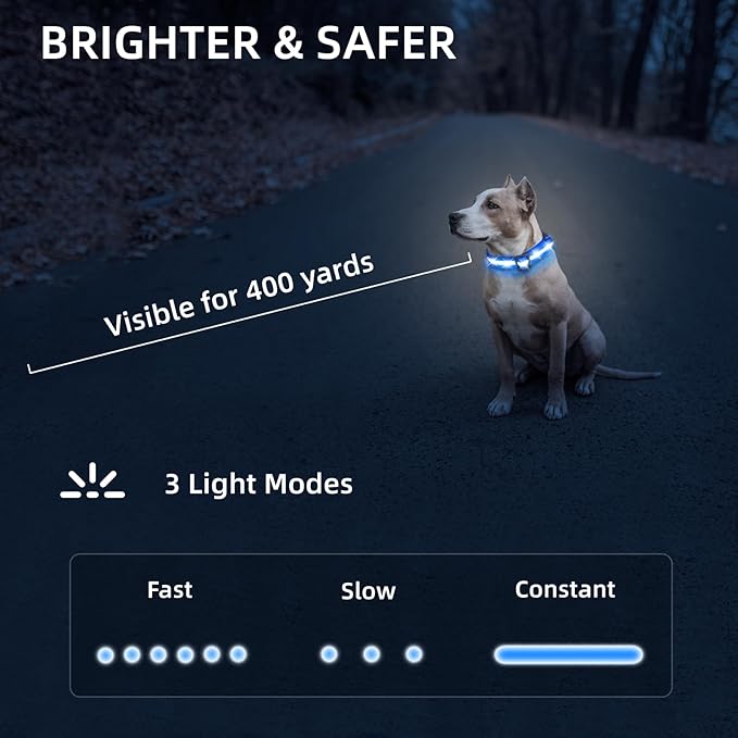 Super Bright LED Dog Collar - Fully Waterproof & Adjustable Glow Collar - USB-C Rechargeable for Night Walking, Safety - Flashing Lighted Collar for Dogs(Blue,L/XL)
