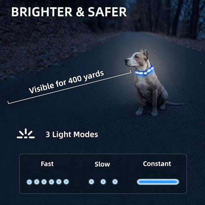 LED Dog Collar for XSmall Dogs & Toy Breeds – USB-C Rechargeable Light Up Dog Collar, Fully Waterproof Adjustable Glow Collar for Night Walking & Safety(Blue,XS)