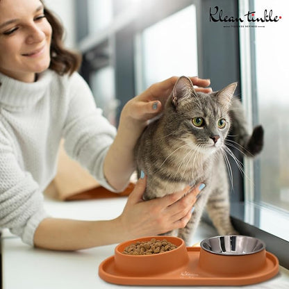 Pets Anti Skid Double Slow Feeder Dog Bowls with Non Skid Silicone Mat - Stainless Steel Dog Water Bowl for Cats & Pets (Orange)