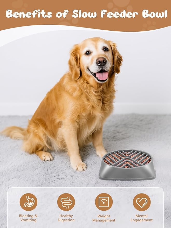 KASBAH Slow Feeder Dog Bowls Large Breed, 5 Cups Capacity for Wet & Dry Food, Puzzle Maze Bowl for Fast Eaters, Non-Slip Base, BPA Free, Helps Prevent Bloat and Aid Digestion