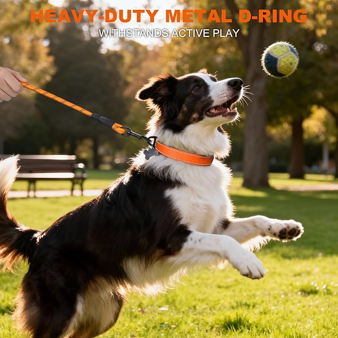 Taglory Reflective Dog Collar with Safety Locking Buckle, Soft Neoprene Padded Dog Collar for Medium Dogs, Metal D-Ring, Adjustable Nylon Neck Strap for Daily Walking, Training & Running, Orange, M