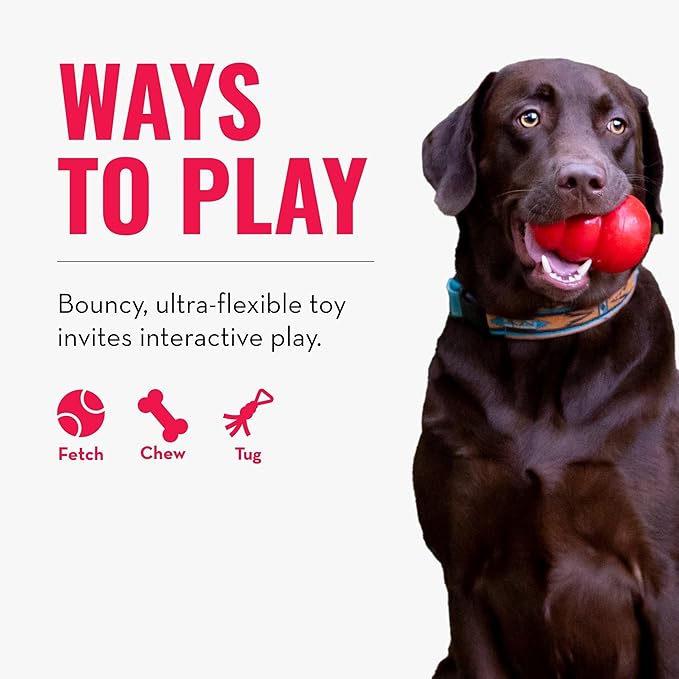 KONG Reflex Flyer