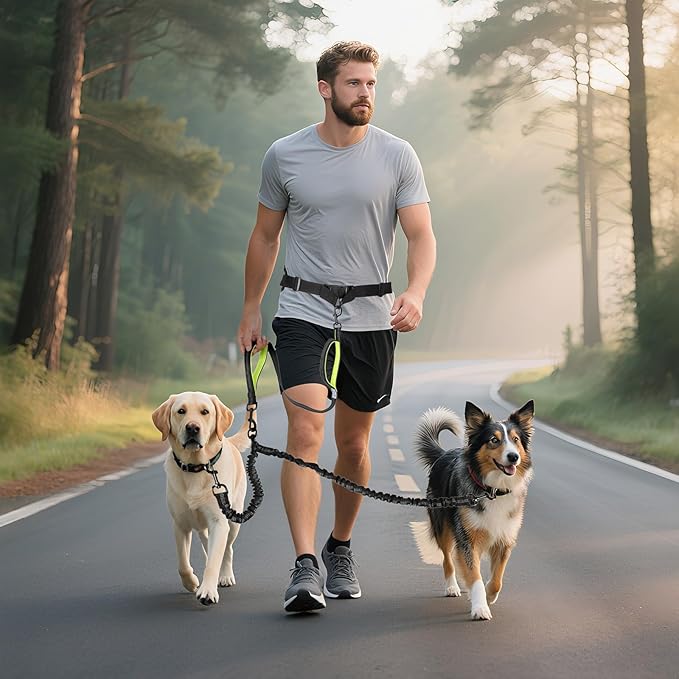 Hands Free Dog Leash for 2 Dogs, Waist Support Padded Bungee Dog Running Leash with Reflective Stitching for Walks, Jogging, Running, Hiking, and Dog Training