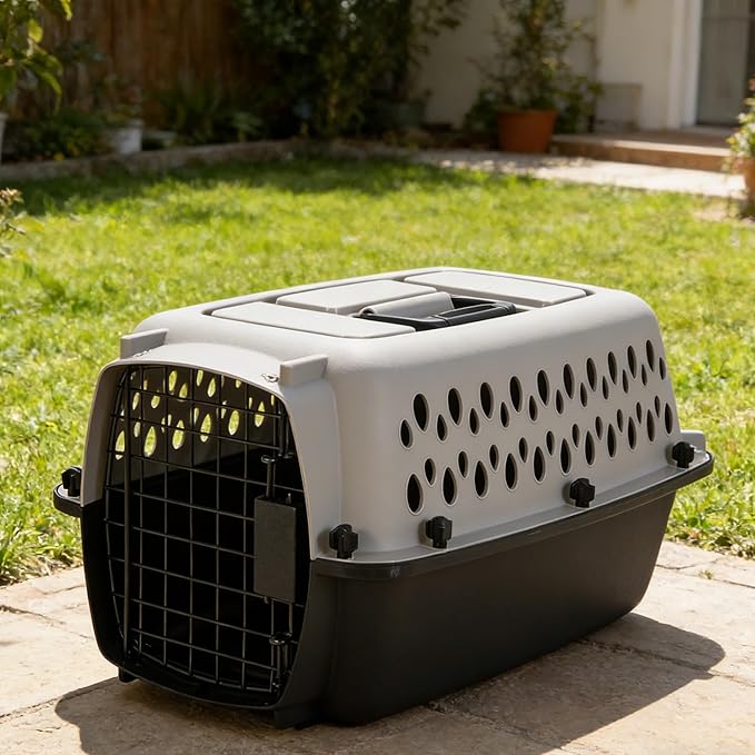 Easy Plastic Pet Crate, Lightweight Portable Carrier for Pets Up to 10 lbs, Sturdy for Car & Daily Use