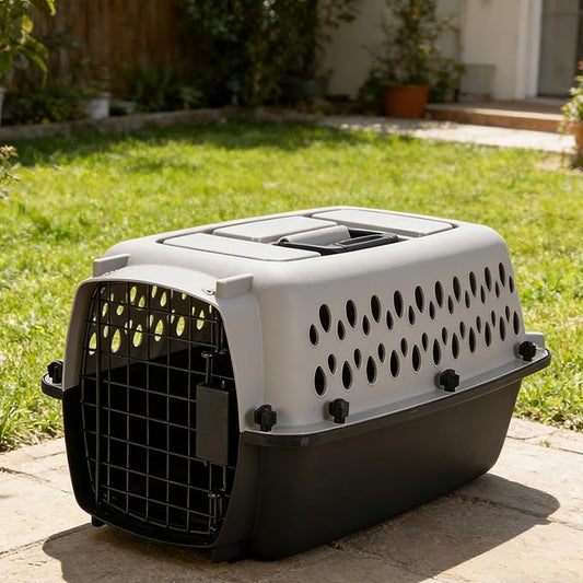 Easy Plastic Pet Crate, Lightweight Portable Carrier for Pets Up to 10 lbs, Sturdy for Car & Daily Use