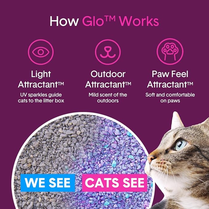 Boxie® Glo™ 30 Day Odor Control Non-Clumping Crystal Cat Litter, 18 lb, Natural Attractions, UV Light Attractant, Soft Granules, 99.9% Dust-Free, Long-Lasting for Multi-Cat Homes (3 Pack of 6lb Bags)