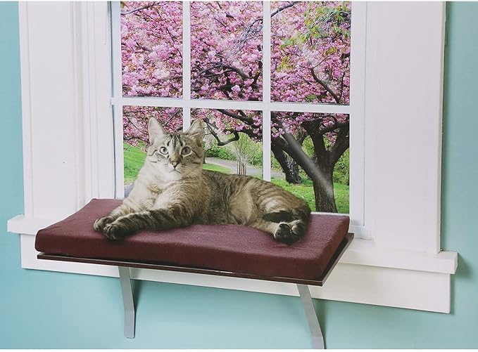 at Window Perch seat: Sunny Kitty Window Sill Shelf, with Fleece Foam Cushion & Washable Cover