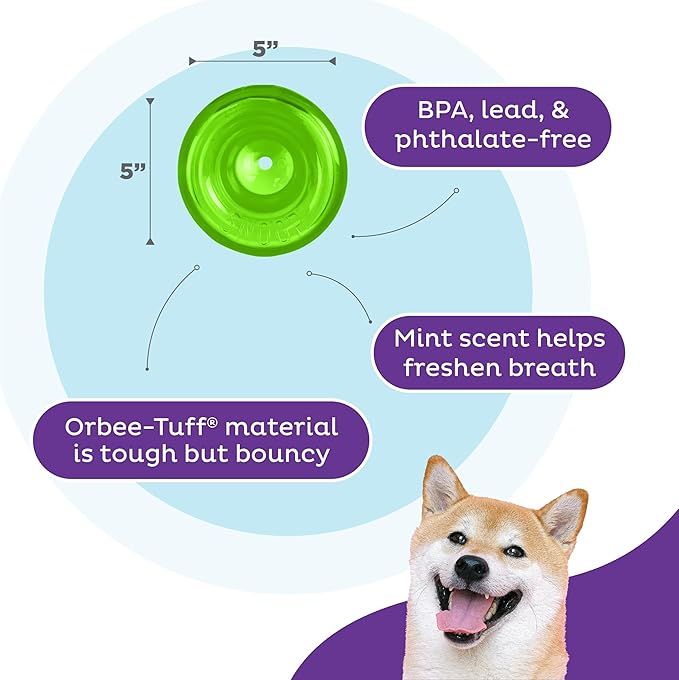 Outward Hound by Planet Dog Snoop Dog Toy – Treat‑Dispenser Puzzle Ball,Interactive Slow Feeder,Medium to Large Dogs,Bouncy & Mint-Infused,Green,5",(Pack of 2)