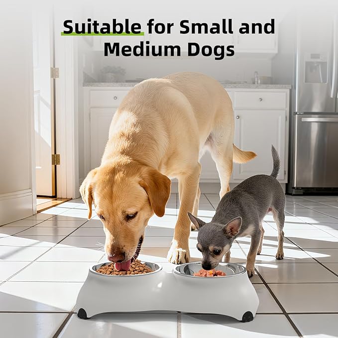 Stainless Steel Dog Bowls Set, Double Food & Water Bowls for Dogs, Dual Dog Food Bowl with 2 Small (4oz*2) Bowl, Non-Slip Pet Bowls Suitable for Puppies, Kittens and Small Breed Dogs (White)