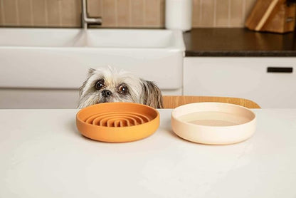 Should We Go? Dog Water Bowl - The Perfect Dish No-Spill, Less Mess Non-Tippable Water & Food Bowl, Pure Silicone with Suction Cup, Fits 2 Cups 6” Across x 1.25” Tall, Ideal for All Pets, Small-Blush