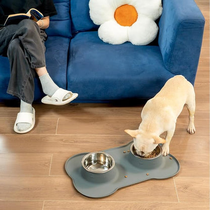 Medium Pet Feeding Station, 29oz Stainless Steel Dog Bowls Set, No Spill Food & Water Dishes with Non Slip Silicone Mat for Breeds Up to 55 Lbs, Grey