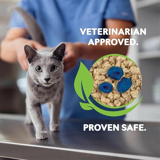 World's Best CAT Litter® Boosters™ Health Check-in™ | Cat Litter Additive for Health Monitoring | UTI Monitoring and Detection with Color Changing Indicator | Vet Approved | 12g (Pack of 2)