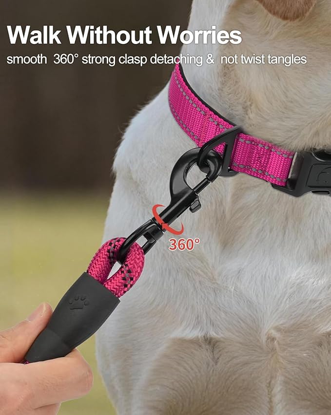Joytale Dog Leash for Small Dogs, Heavy Duty Nylon Leashes with Comfortable Padded Handle and Highly Reflective Threads, Ideal for Walking and Training, Hotpink, 6'×3/8''