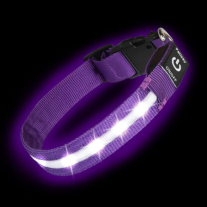 Super Bright LED Dog Collar - Fully Waterproof & Adjustable Glow Collar - USB-C Rechargeable for Night Walking, Safety - Flashing Lighted Collar for Dogs(Purple,Medium)